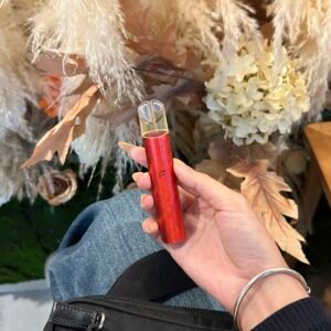 FIPY果派主機-通用一代煙彈-口感醇厚-輸出穩定-台灣現貨 - 新年紅