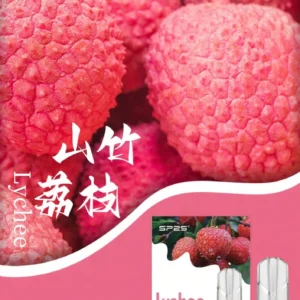 SP2S思博瑞煙彈-通用一代主機-原裝正品-3顆/盒 - 山竹荔枝