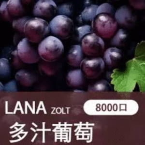 LANA-ZOLT8000口拋棄式- 超大容量-續航穩定-大功率輸出 - 葡萄